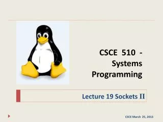 CSCE 510 - Systems Programming