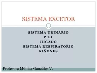 sistema excetor