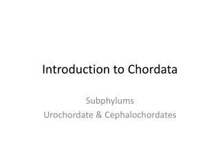 Introduction to Chordata