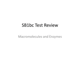 SB1bc Test Review