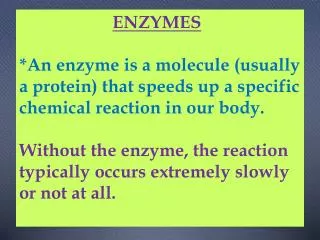 enzymes ppt