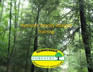Hemlock Woolly Adelgid Training