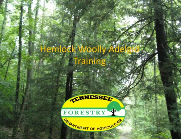 hemlock woolly adelgid training