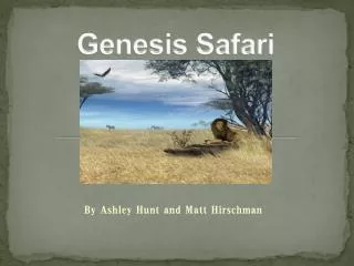 Genesis Safari