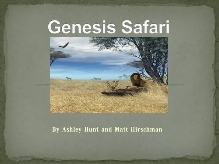 genesis safari