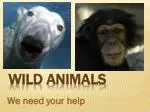 Wild animals - slide 1