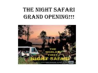 The NIGHT SAFARI GRAND OPENING!!!