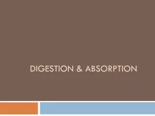 Digestion &amp; absorption