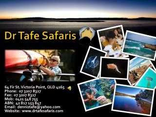 Dr Tafe Safaris