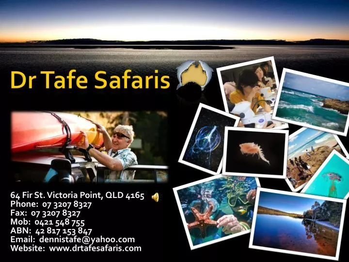 dr tafe safaris