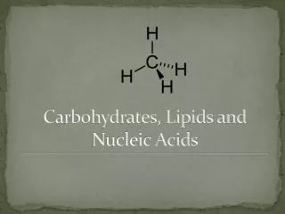 Carbohydrates, Lipids and Nucleic Acids