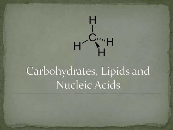 carbohydrates lipids and nucleic acids