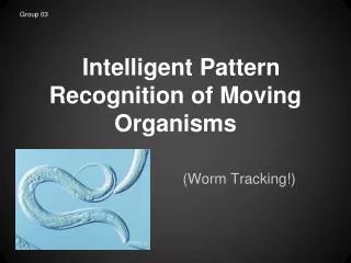 Intelligent Pattern Recognition of Moving Organisms