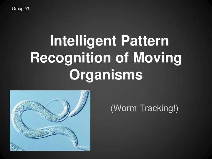 intelligent pattern recognition of moving organisms