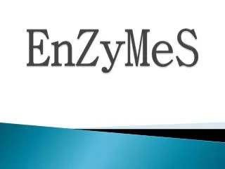 EnZyMeS