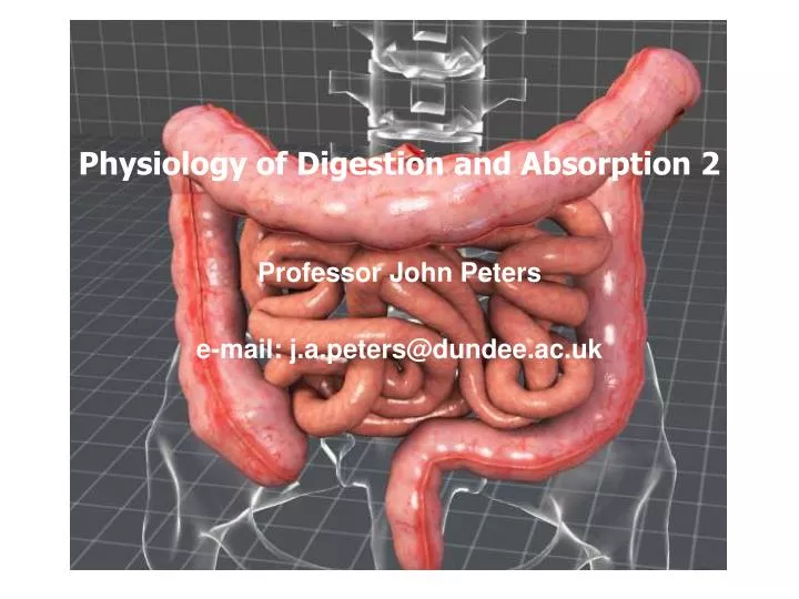 physiology of digestion and absorption 2