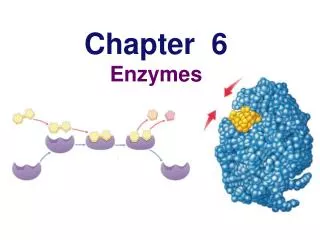 Chapter 6 Enzymes
