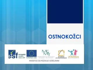 ostnoko ci