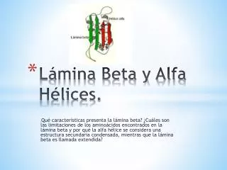 l mina beta y alfa h lices