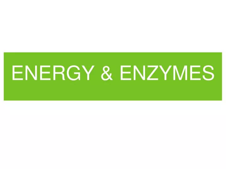 energy enzymes