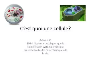 c est quoi une cellule