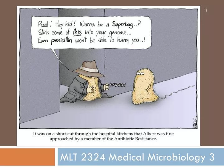 mlt 2324 medical microbiology 3