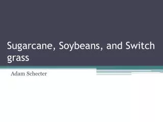 Sugarcane, Soybeans, and Switch grass