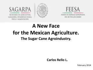 A New F ace for the Mexican Agriculture . The S ugar Cane Agroindustry .