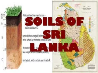 SOILS OF SRI LANKA