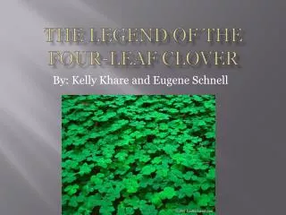 The Legend of the Four-Leaf CLover