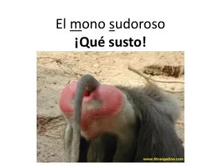 el m ono s udoroso qu susto