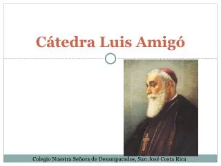 c tedra luis amig