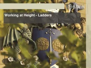 Working at Height - Ladders