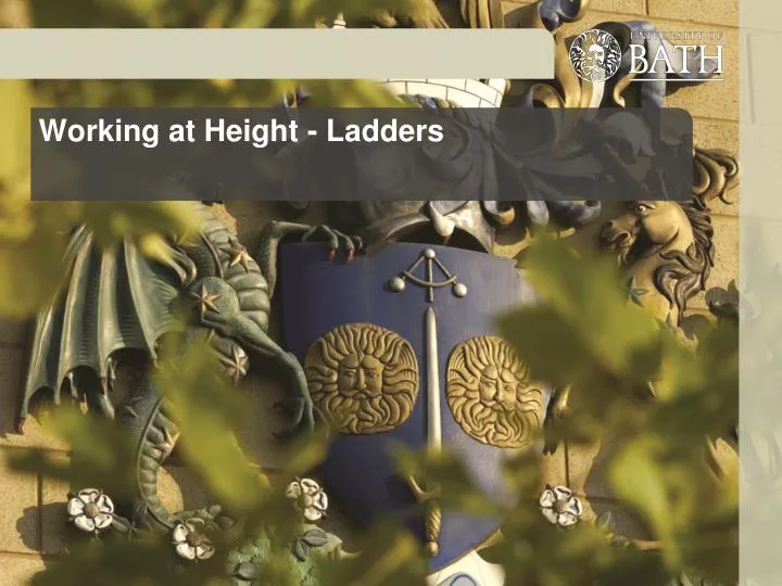 working at height ladders