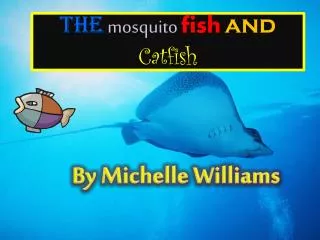 The mosquito fish and Catfish