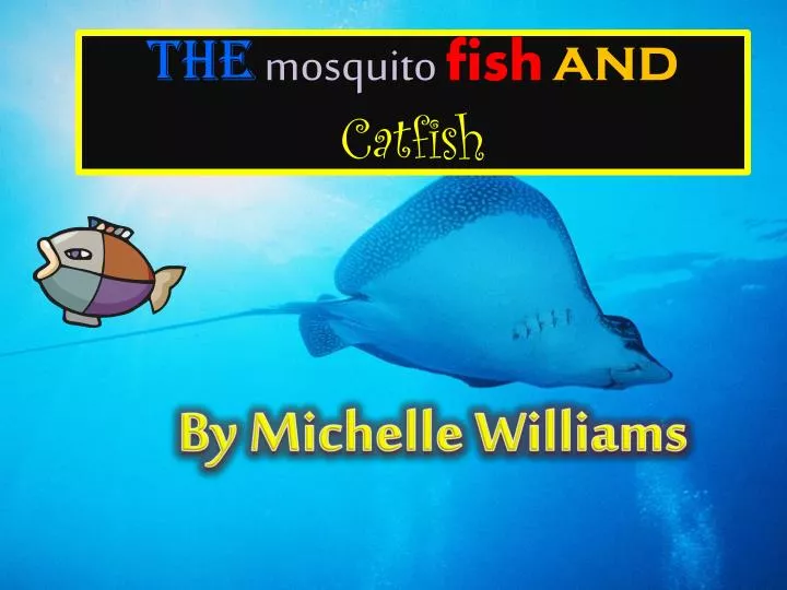 the mosquito fish and catfish