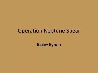 operation neptune spear