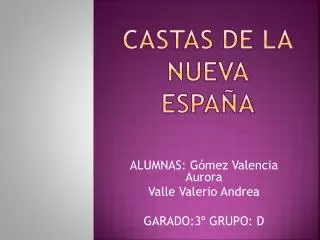 castas de la nueva espa a