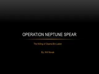 Operation neptune spear