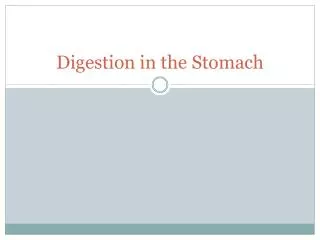 Digestion in the Stomach