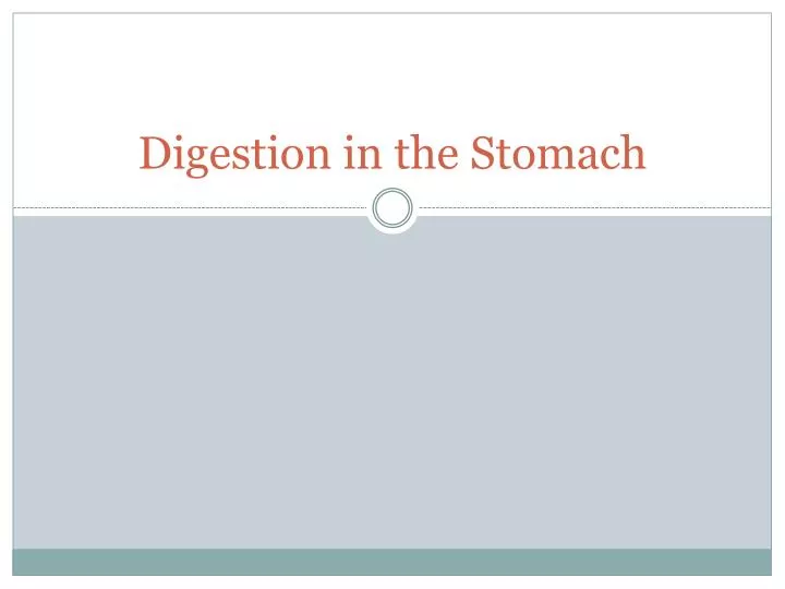 digestion in the stomach