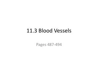 11.3 Blood Vessels