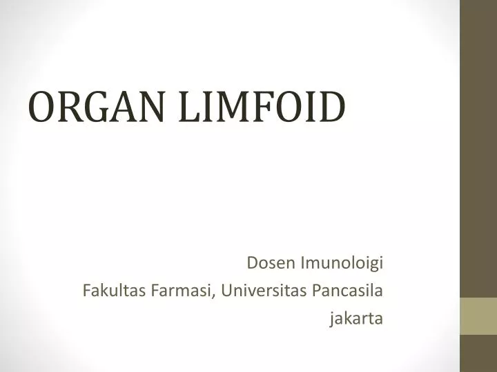 organ limfoid