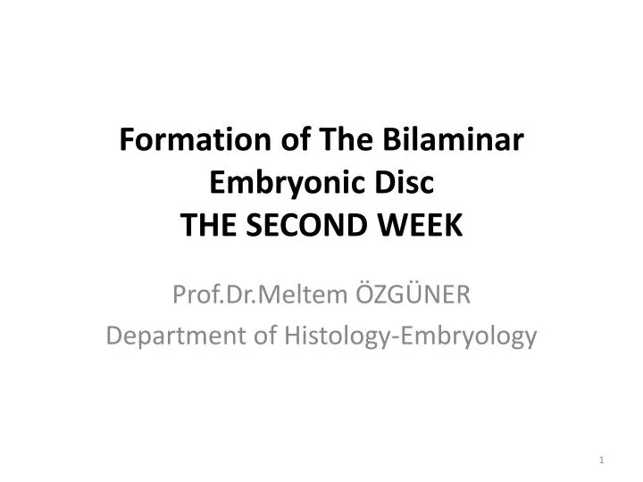 formation of the bilaminar embryonic disc the second week