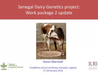 Senegal Dairy Genetics project: Work package 2 update
