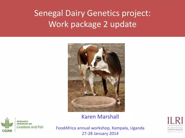 senegal dairy genetics project work package 2 update