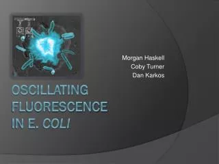 Oscillating Fluorescence in E. coli