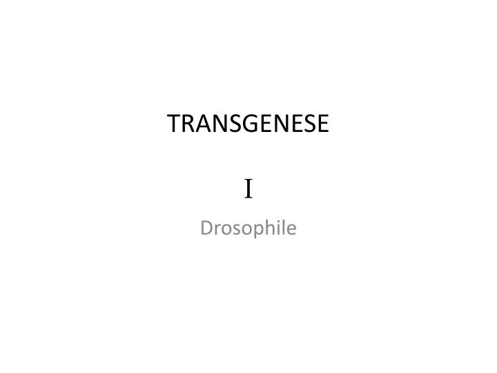 transgenese i