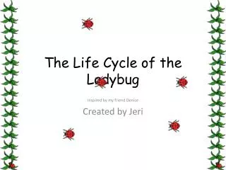 The Life Cycle of the Ladybug