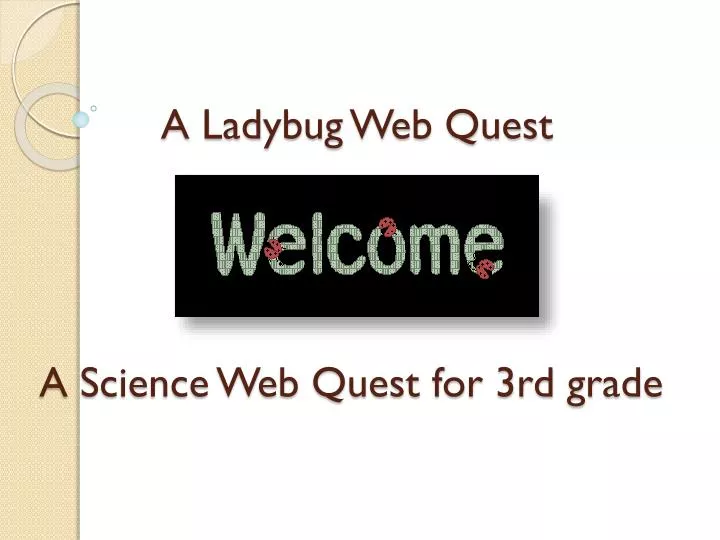 a ladybug web quest a science web quest for 3rd grade